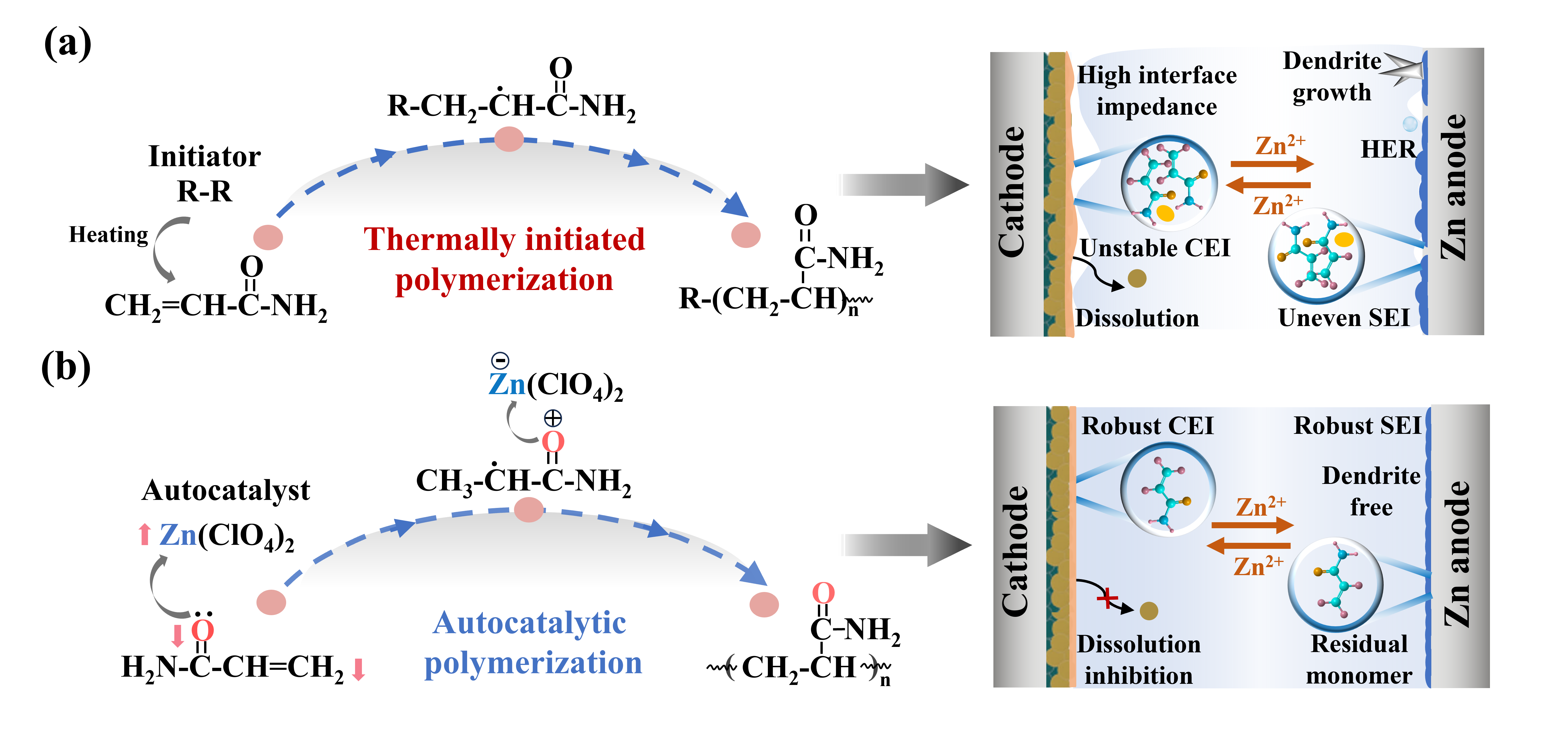 Article schematic comparing thermally initiated and autocatalytic polymerization and the resulting electrode interfaces.